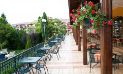 Hotel Hrizantema****