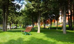 Hotel Hrizantema****