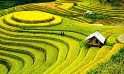 To nejlepší z Vietnamu s oslavou LUNÁRNÍHO NOVÉHO ROKU