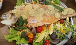 Hotel Queen Nelly Park****