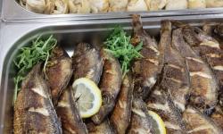 Hotel Queen Nelly Park****