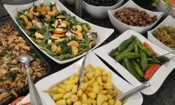 Hotel Queen Nelly Park****