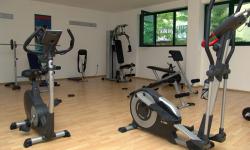 Hotel Mena Palace****